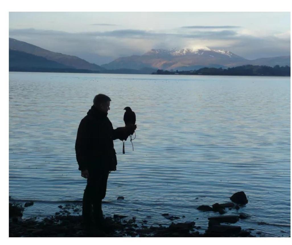 Lodge 14, Cameron House Lodges, Loch Lomond 亚历山德里亚 外观 照片